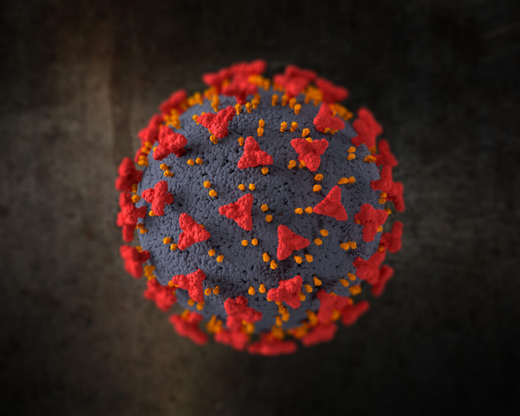 Human Coronavirus: Everything You Need to Know