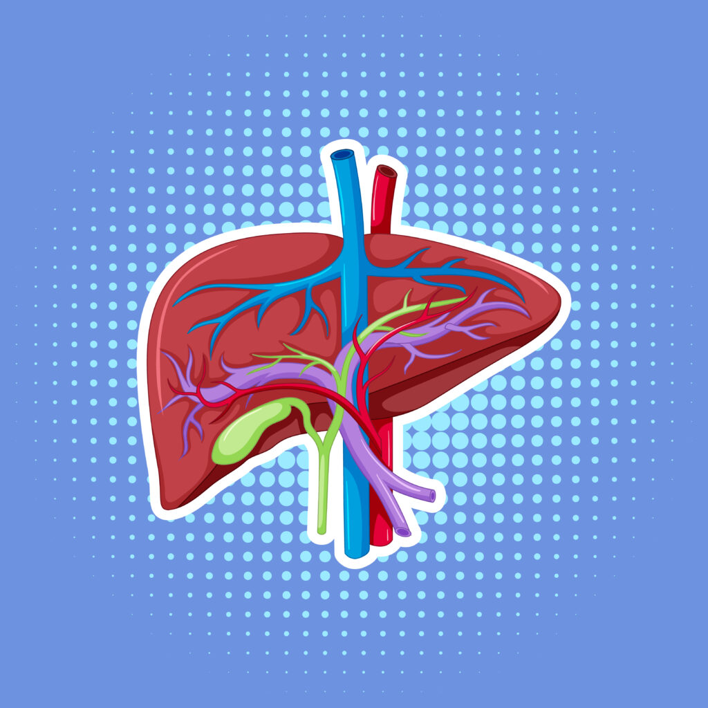 10 Everyday Habits That Help Improve Liver Health