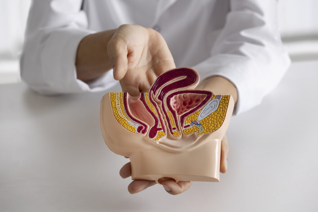 Understanding Ascites: What You Need to Know